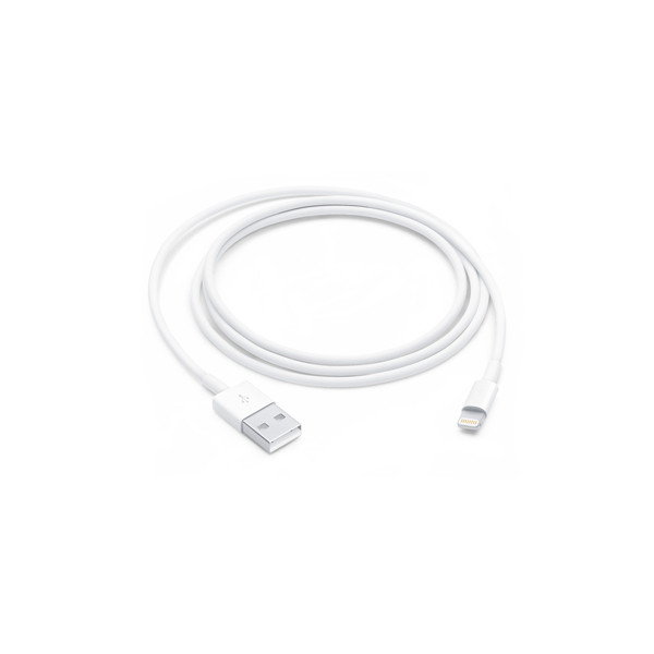 Lightning to USB Cable (1 m)