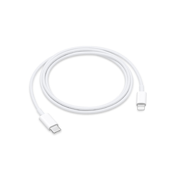 USB-C to Lightning Cable (1 m)