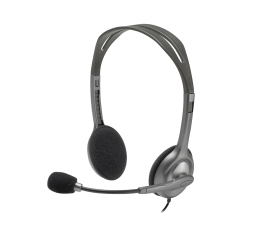 Logitech H110 STEREO Headset (Two port)